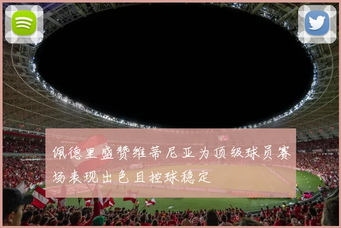 佩德里盛赞维蒂尼亚为顶级球员赛场表现出色且控球稳定