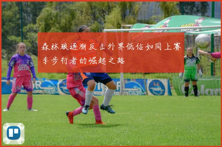 森林狼逐渐反击外界低估如同上赛季步行者的崛起之路
